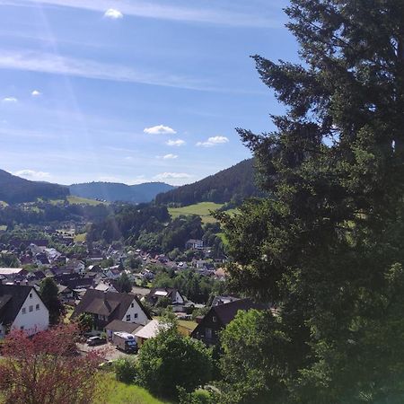 Traumblick Fewo Mit Pool Baiersbronn Extérieur photo