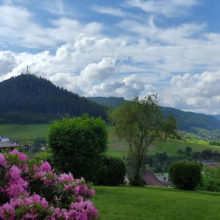 Traumblick Fewo Mit Pool Baiersbronn Extérieur photo