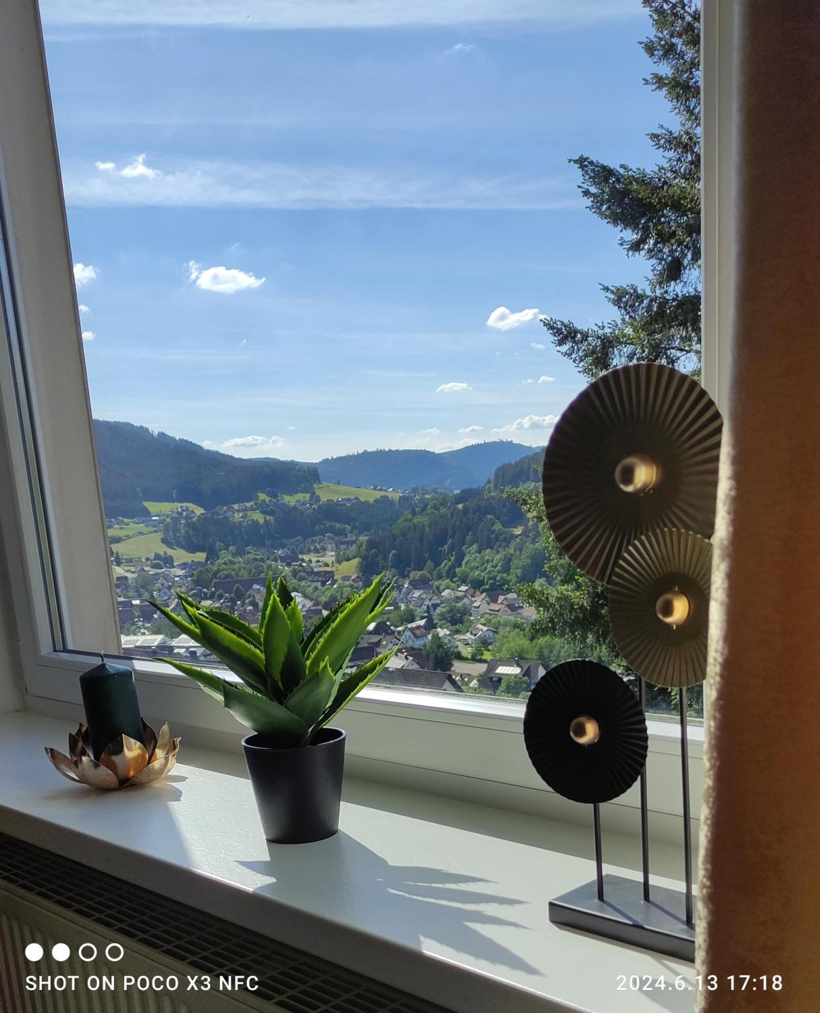 Traumblick Fewo Mit Pool Baiersbronn Extérieur photo