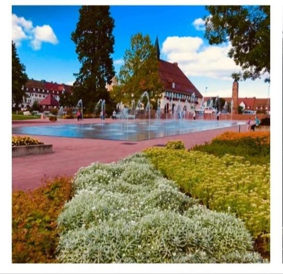 Traumblick Fewo Mit Pool Baiersbronn Extérieur photo